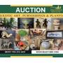 Exotic Art, Furnishings & Plants
