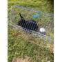 small animals-tools-hardware-general merchandise