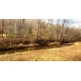 Home, 1.64 Acres, Shop Building & Creek