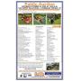 Tractors, Tools, Furniture & More!