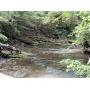 153.85 Acres Divided Into 12 Tracts