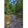 153.85 Acres Divided Into 12 Tracts