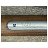 Amadeo-Rossi .22 Pump Rifle