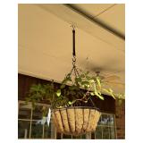 Hanging Planter