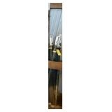 17, 5 ft T-Posts/Fence Posts