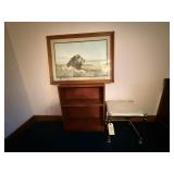 Bookshelf, Lion Print, and Stool