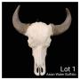 Asian Water Buffalo
