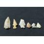 PRIVATE COLLECTION PART 2. ARTIFACTS. ARROWHEADS. PRIMITIVE TOOLS