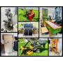 ONLINE AUCTION