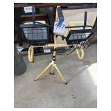 Dual Work Light