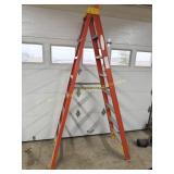 8 Ft Werner Ladder