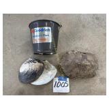 Turtle Shell and Clam Shell