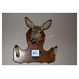 Doe Deer Mount with Hooves
