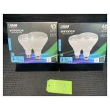 2- 65 Watt LED bulbs