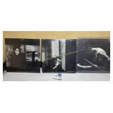 U2 Lp Albums (3) Near Mint Condition