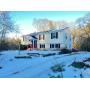Real Estate Auction