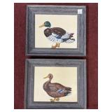 (2) HAND PAINTED DUCKS IN FRAMES APPROX 13" X 11"