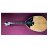 JOHN BENCIC MANDOLIN CLEVELAND OH