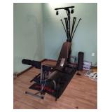 BOWFLEX POWER PRO WITH MAT