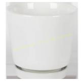 Border Concepts 10 in. Ceramic Flair Saucer