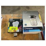 Light bulbs and cover