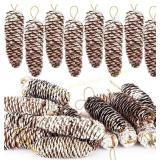 JOHOUSE Snow Pinecone Ornaments, 18PCS