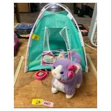 Our Generation Tent, Cat