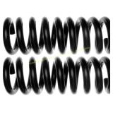 MOOG 81006 Coil Spring Set