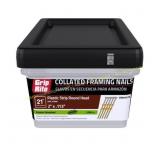 Grip-Rite 2 in. .113 Ga. Galv. Nails