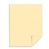Neenah Paper Vellum Bristol, Ivory and 2nd grade S
