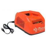 Black Echo 56V Charger