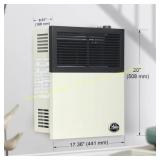 Ashley Hearth 11,000 BTU Direct Vent Heater