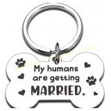 7 ct. Dog Tag: Humans are Getting Married