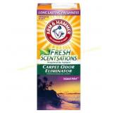 6 ct. ARM & HAMMER Carpet Odor Eliminator 30oz