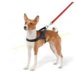 No Pull Comfort Dog Harness - S -