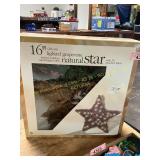 16in Lighted Grapevine Star