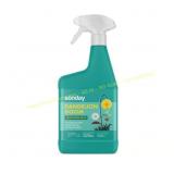 Sunday Weed Killer RTU Liquid 32 oz