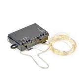 2 Ct. Celebrations LED Fairy Lights 16.3 ft.