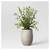 14" Privet Plant - Threshold  Studio McGee