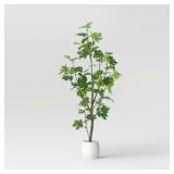 Threshold  67" Fig Tree - w/Studio McGee