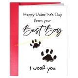 11Ct TQDaiker Funny Valentine