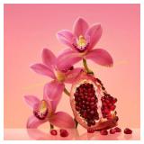 Calvin Klein euphoria 3.3fl Oz.