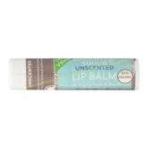 12ct Soothing Touch Lip Balm - Unscented - .25 Oz