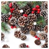 M&C Pine Cones Set 115pc Natural Snow Xmas
