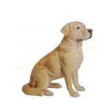 Yellow Labrador Retriever Sitting