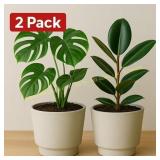 Candace Sand Pedestal Pot (2-Pack)