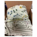 BEAUTIFUL King Comfoter, Botanical