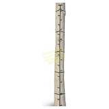 Big Game Quick-Stick Whitetail Ladder Climber