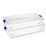 Homz 60 Qt Underbed Storage Container, 2 Pack