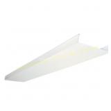 2ct Lithonia Lighting 4 ft Replacement Lens